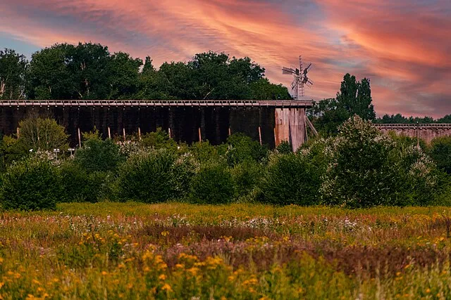 Nature-based wellness