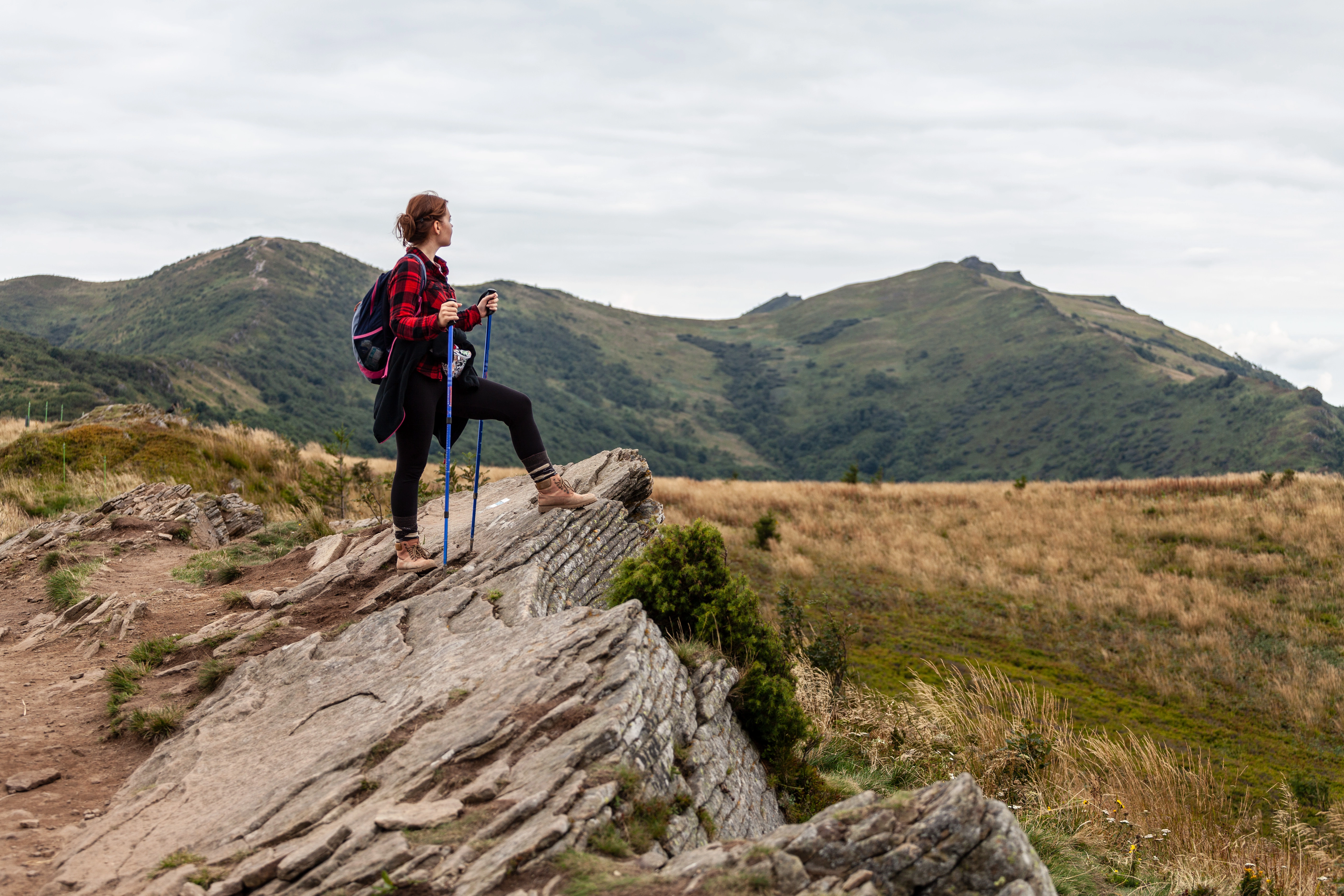 Onafhankelijke reiziger